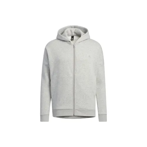 Adidas Серый Унисекс Свитшоты