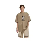 Серый верблюжий цвет