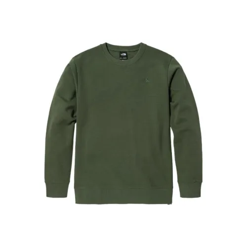 THE NORTH FACE Зеленый Мужской Свитшот