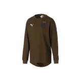 Верблюжий цвет