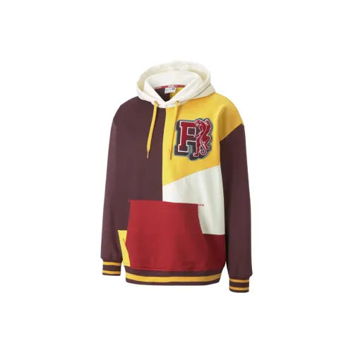 PUMA We Are Legends Многоцветные Мужские Толстовки