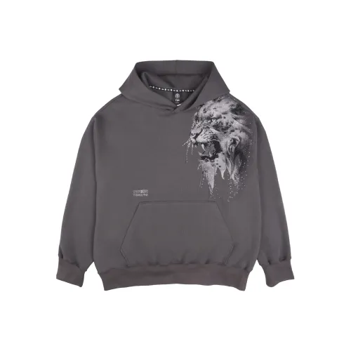 TCH SS24 Свитшот Унисекс Серый