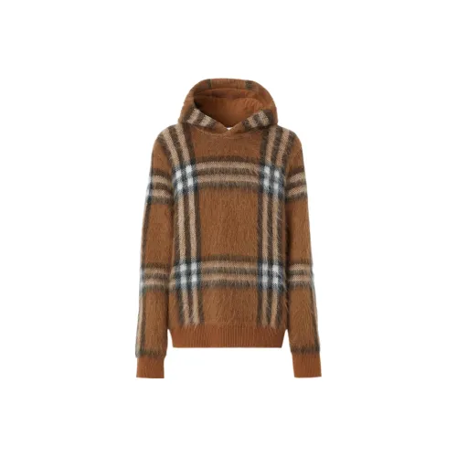 Burberry FW22 Толстовка Мужской Коричневый