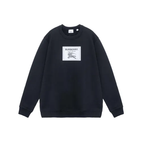 Burberry FW22 Толстовка Мужской Черный