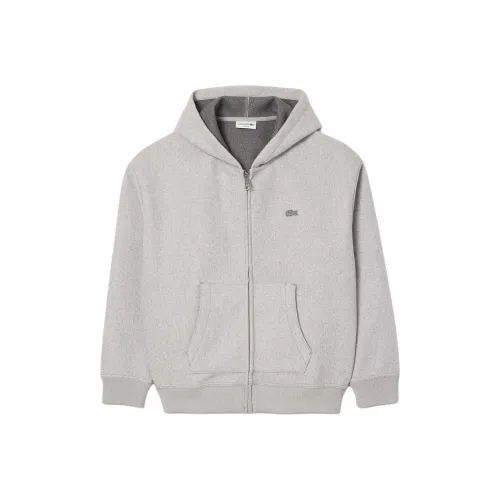 LACOSTE Collaboration Серый Мужской Свитшот