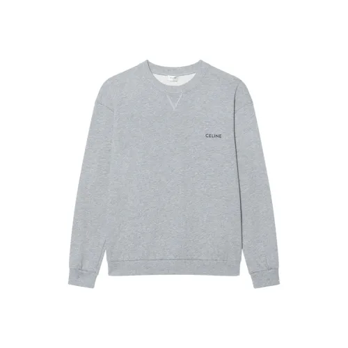 CELINE FW22 Толстовка Мужской Серый