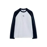 Южная Америка Лев Темно-синий