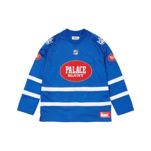 Дворцовый синий мужской свитшот