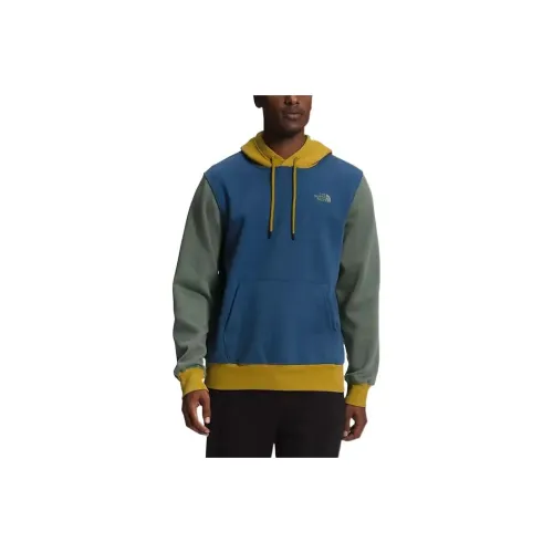 THE NORTH FACE Синий Мужской Свитшот