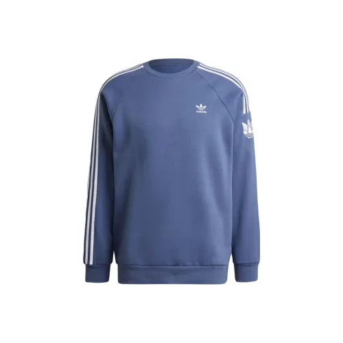 Adidas Темно-синий Мужской Свитшот