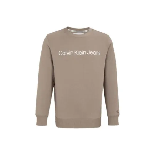 Calvin Klein Хаки Мужские Свитшоты