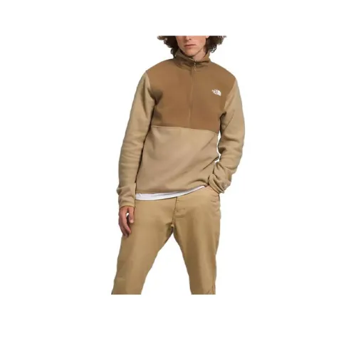 THE NORTH FACE Коричневый Мужской Свитшот