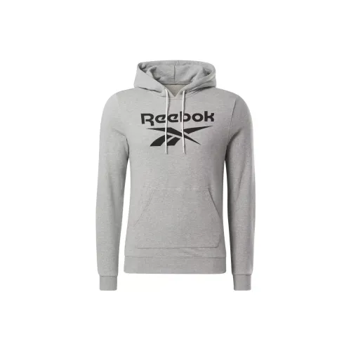 Reebok RI FT OTH BL Hoodie Hoodie Мужской Серый