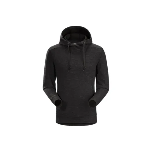Arcteryx COVERT LT Толстовка Мужская