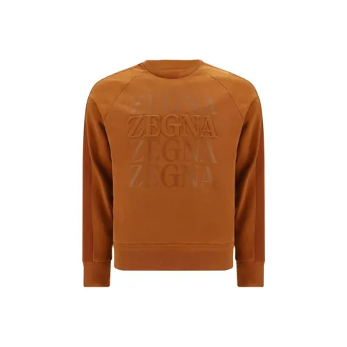 Ermenegildo Zegna Коричневый Мужской Свитшот