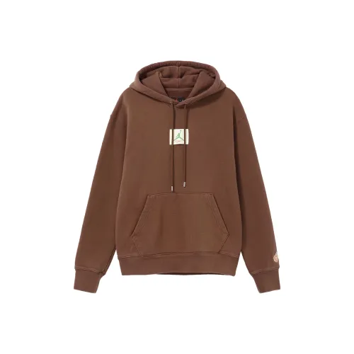 JORDAN Коричневый Мужской Свитшот