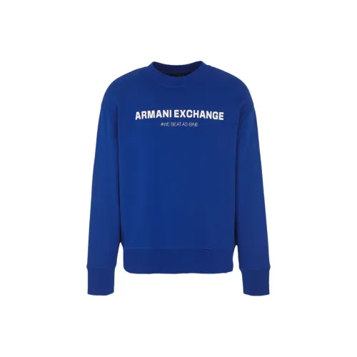 ARMANI EXCHANGE FW23 Толстовка Мужская