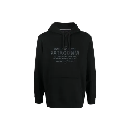 Patagonia Мужские Свитшоты