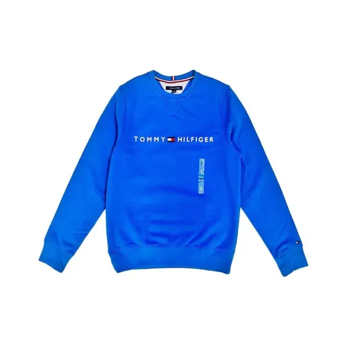 Tommy Hilfiger Синий Мужской Свитшот
