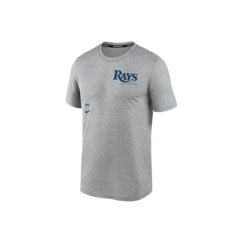 nike T-рубашка мужская серая Tampa Bay Rays