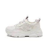 Бежевый Фиолетовый