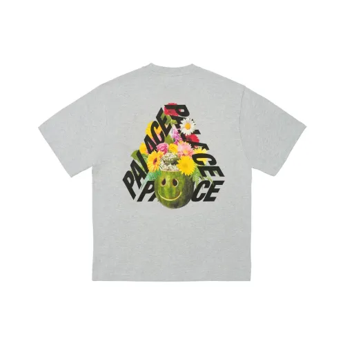 Дворцовый FW24 Серый Унисекс T Рубашки