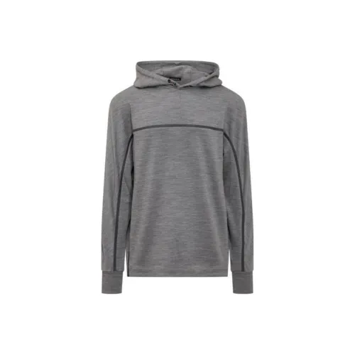 Ermenegildo Zegna Серый Мужской Свитшот