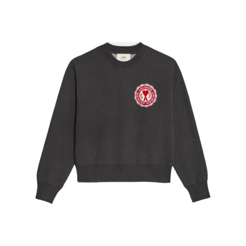 AMIPARIS FW22 Свитшот Мужской Серый