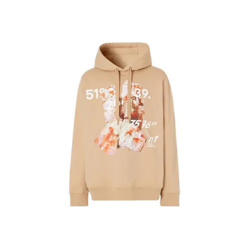 Burberry FW22 Толстовка Мужской Коричневый