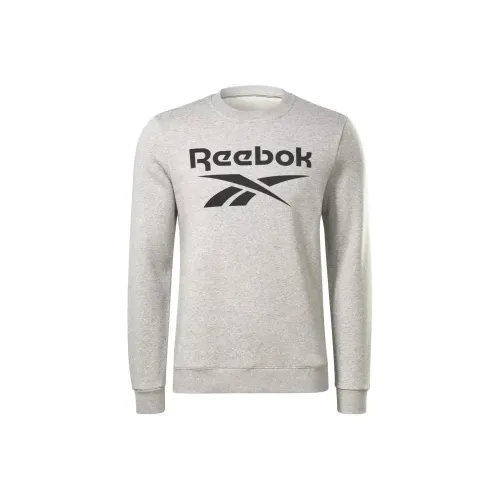 Reebok RI FLC Big Logo CREW SWEATSHIRT Мужской Светло-Серый