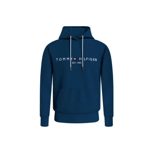 Tommy Hilfiger Синий Мужской Свитшот