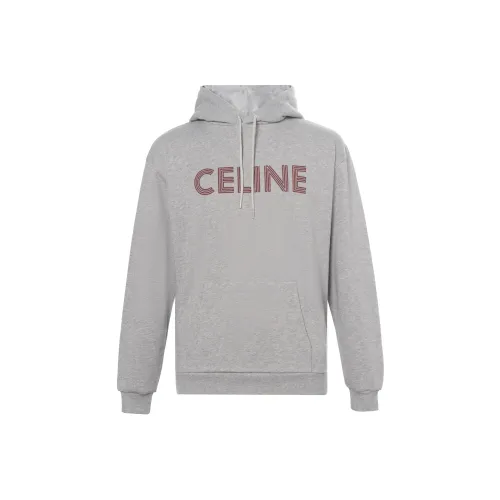 Celine Серый Мужской Свитшот