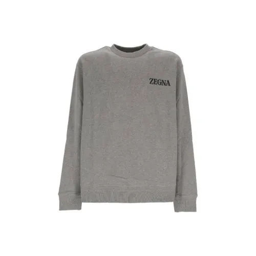 Ermenegildo Zegna Серый Мужской Свитшот