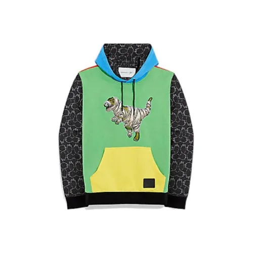 COACH Мужские черные свитшоты