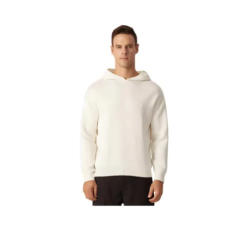 DANIEL HECHTER Толстовка Весенний Осенний Мужской