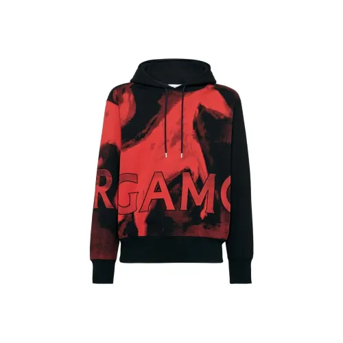 Ferragamo Многоцветные Мужские Свитшоты