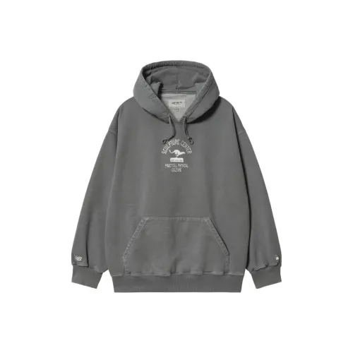 Carhartt WIP Серый Мужской Свитшот