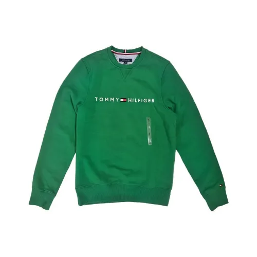 Tommy Hilfiger Зеленый Мужской Свитшот