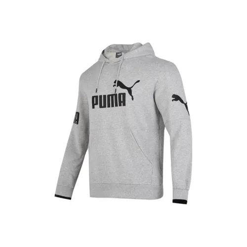 PUMA Серый Мужской Свитшот