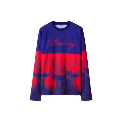 Burberry Мужские Свитшоты