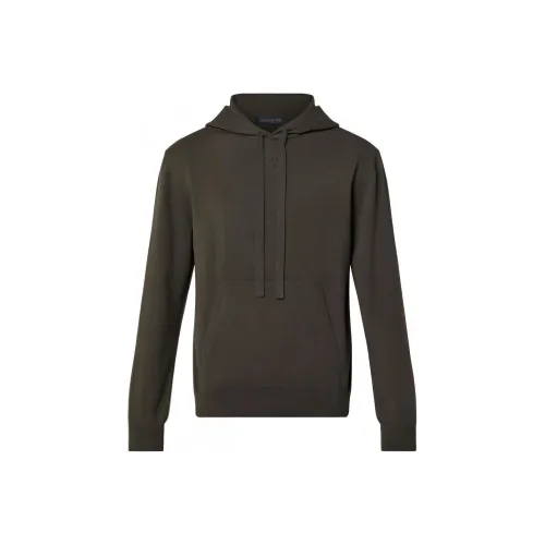 LOUIS VUITTON Толстовка Мужской Коричневый