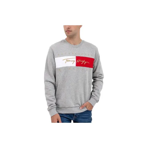 Tommy Hilfiger Светло-серый Мужской Свитшот