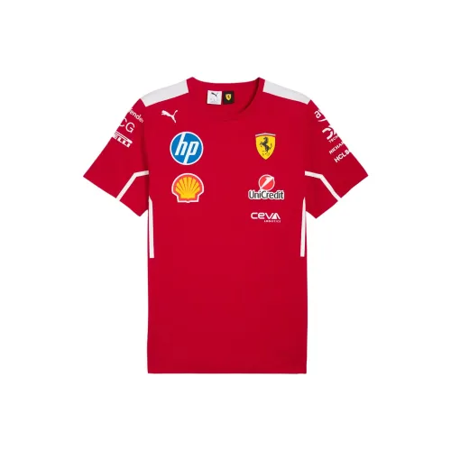 PUMA TEAM Темная вишня Мужская футболка с коротким рукавом
