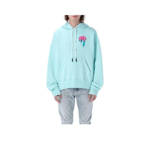 PALM ANGELS Мятно-зеленый Мужской Свитшот