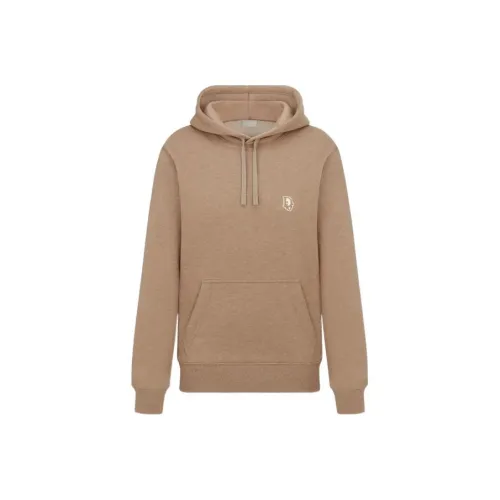 DIOR Коричневый Мужской Свитшот