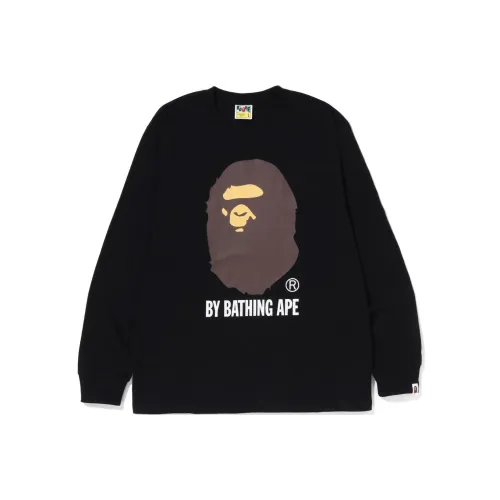A BATHING APE FW22 Толстовка Мужской