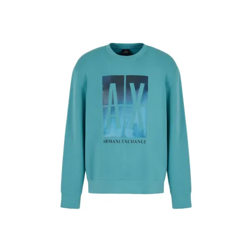 ARMANI EXCHANGEAE SS24 Толстовка Мужской