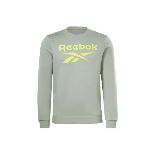 Reebok RI FLC Big Logo CREW SWEATSHIRT Мужской Серый