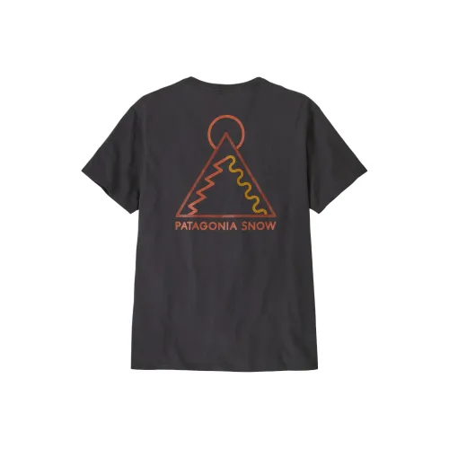 Patagonia Organic Мужская T-рубашка