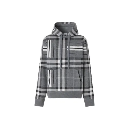 Burberry FW22 Толстовка Мужской Серый